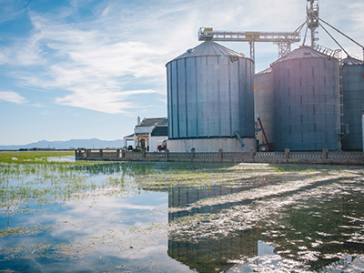 年產(chǎn)1000萬(wàn)噸大型砂石料生產(chǎn)線